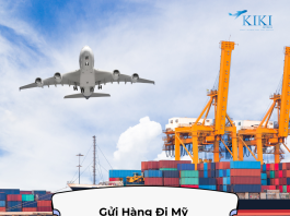 Dịch Vụ Gửi Hàng Đi Mỹ Nhanh Chóng, An Toàn, Tiết Kiệm Cho Mọi Gia Đình Việt