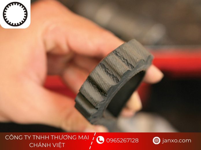 Sản phẩm dây curoa Chánh Việt