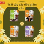 Trái cây sấy dẻo giảm cân